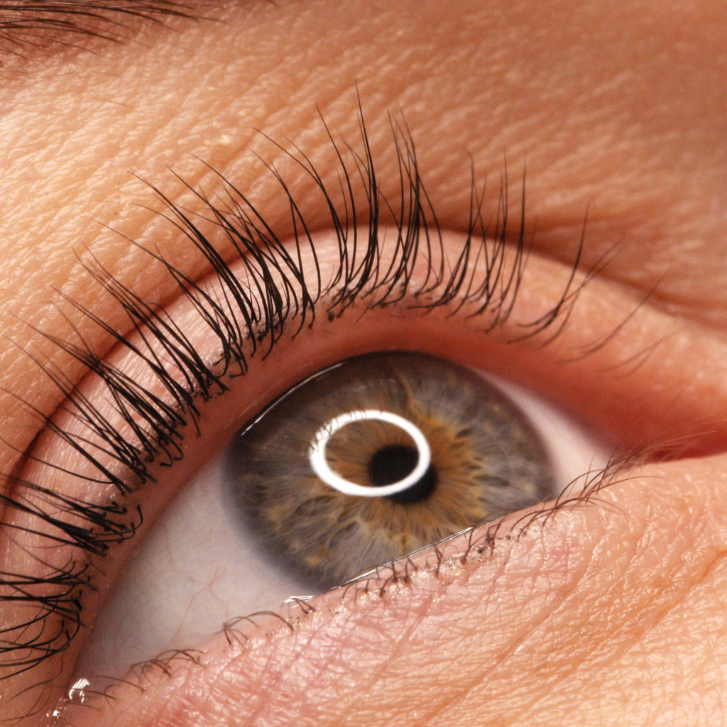 Lash Lifting Pestañas